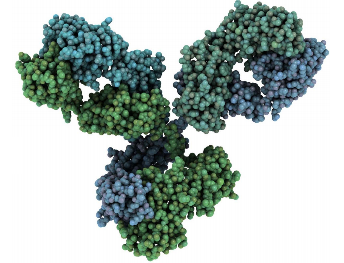 Cyanobacteria